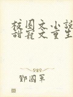 校园文小说推荐甜宠文重生