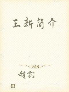 王新简介
