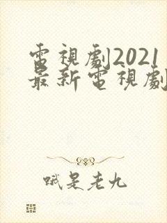 电视剧2021最新电视剧大全