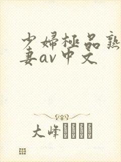 少妇极品熟妇人妻av中文