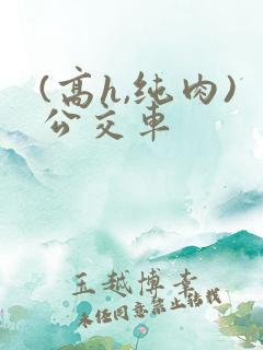 (高h,纯肉)公交车