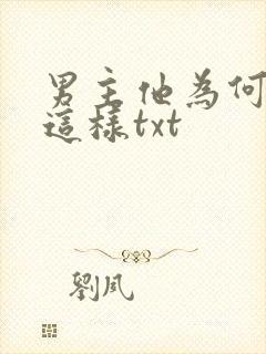 男主他为何总是这样txt