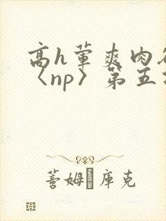 高h荤爽肉欲文〈np〉第五次