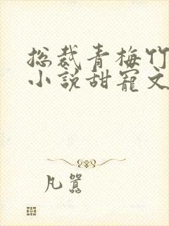 总裁青梅竹马的小说甜宠文