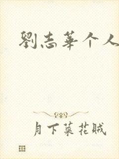 刘志华个人简介