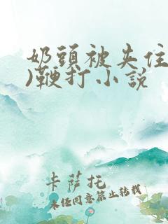 奶头被夹住(h)鞭打小说