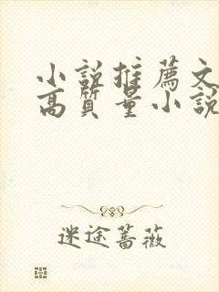 小说推荐文笔好高质量小说