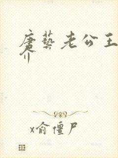 唐艺老公王新简介