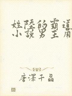 姓陆的霸道总裁小说男主角