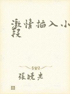 激情插入小说片段