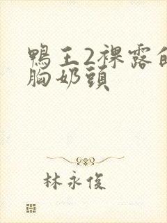 鸭王2裸露的大胸奶头