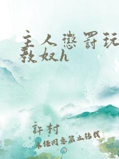 主人惩罚玩弄调教奴h