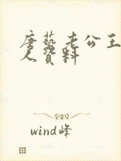 唐艺老公王新个人资料