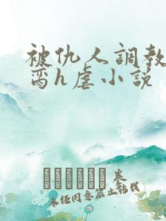 被仇人调教成禁脔h虐小说