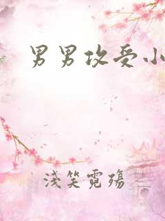 男男攻受小说h