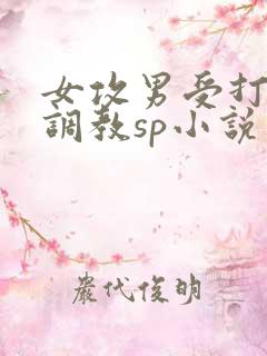 女攻男受打屁股调教sp小说