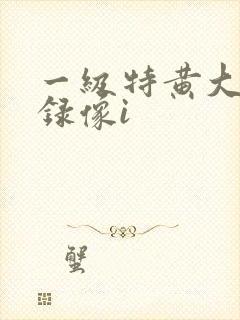 一级特黄大片 录像i