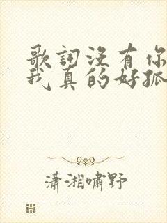 歌词没有你陪伴我真的好孤单原唱