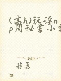 (高h)玩淫np周秘书小说