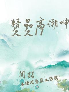 精品高潮呻吟久久久17