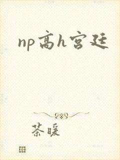 np高h宫廷