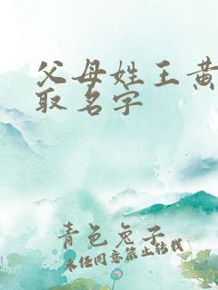 父母姓王黄怎么取名字