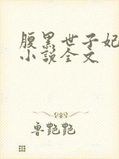 腹黑世子妃日常小说全文