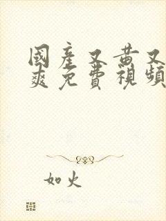 国产又黄又粗又爽免费视频