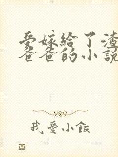 受嫁给了渣攻的爸爸的小说