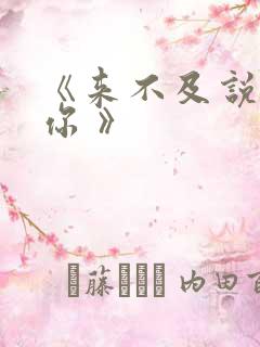 《来不及说我爱你 》