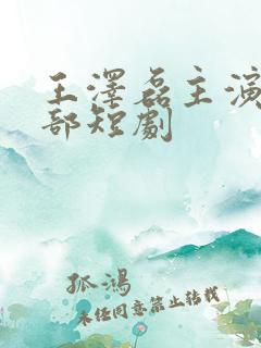 王泽磊主演的全部短剧