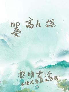 np 高h 总受