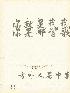 你就是我我就是你是哪首歌的歌词