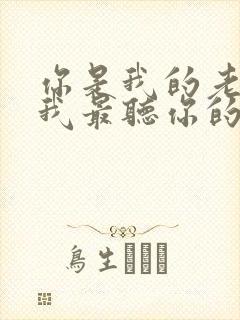 你是我的老大,我最听你的话是什么歌?