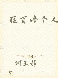 张百峰个人简介