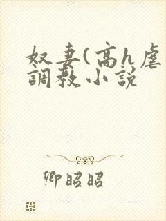 奴妻(高h虐身调教小说