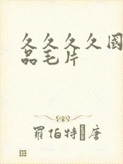 久久久久国产精品毛片