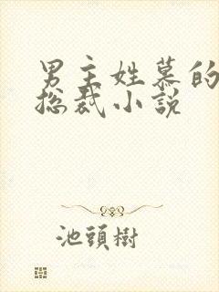 男主姓慕的所有总裁小说