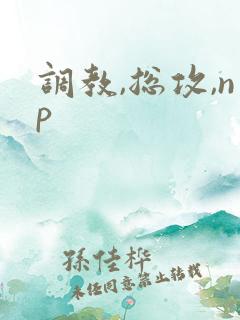 调教,总攻,np