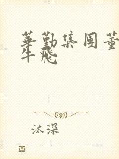 华勤集团董事长牛飞