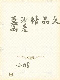 亚洲精品久久久国产