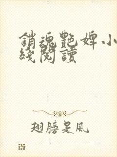 销魂艳婢小说在线阅读