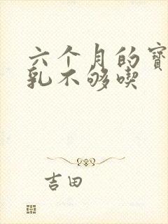 六个月的宝宝母乳不够吃