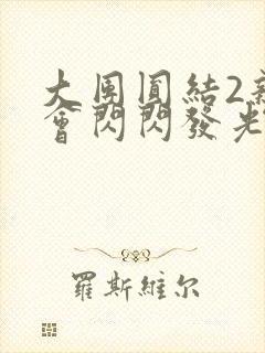 大团圆结2亲情会闪闪发光亲情会2