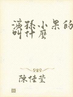 演孙小果的演员叫什么