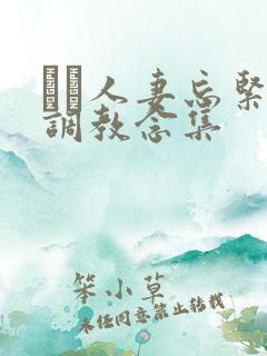 縄酔人妻忘紧缚调教念集