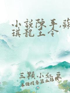 小说陈平,苏雨琪龙王令