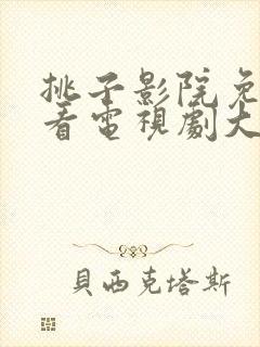 挑子影院免费观看电视剧大全