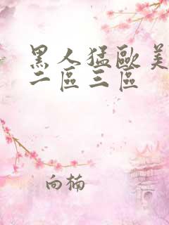 黑人猛欧美一区二区三区