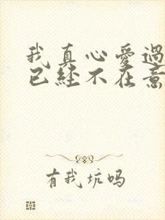 我真心爱过你你已经不在意是什么歌